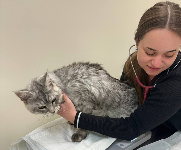 photo visit to the doctor