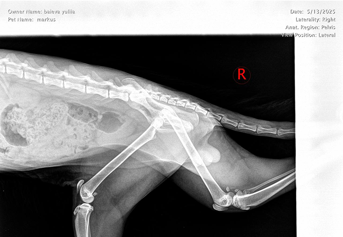 photo visit to the doctor