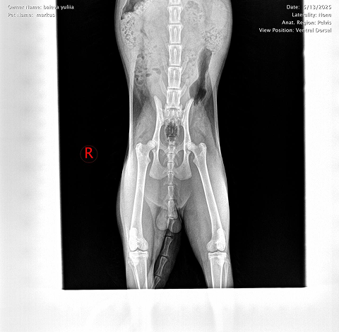photo visit to the doctor